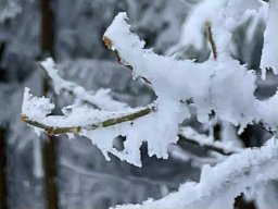 Wintertrainingslager 2024